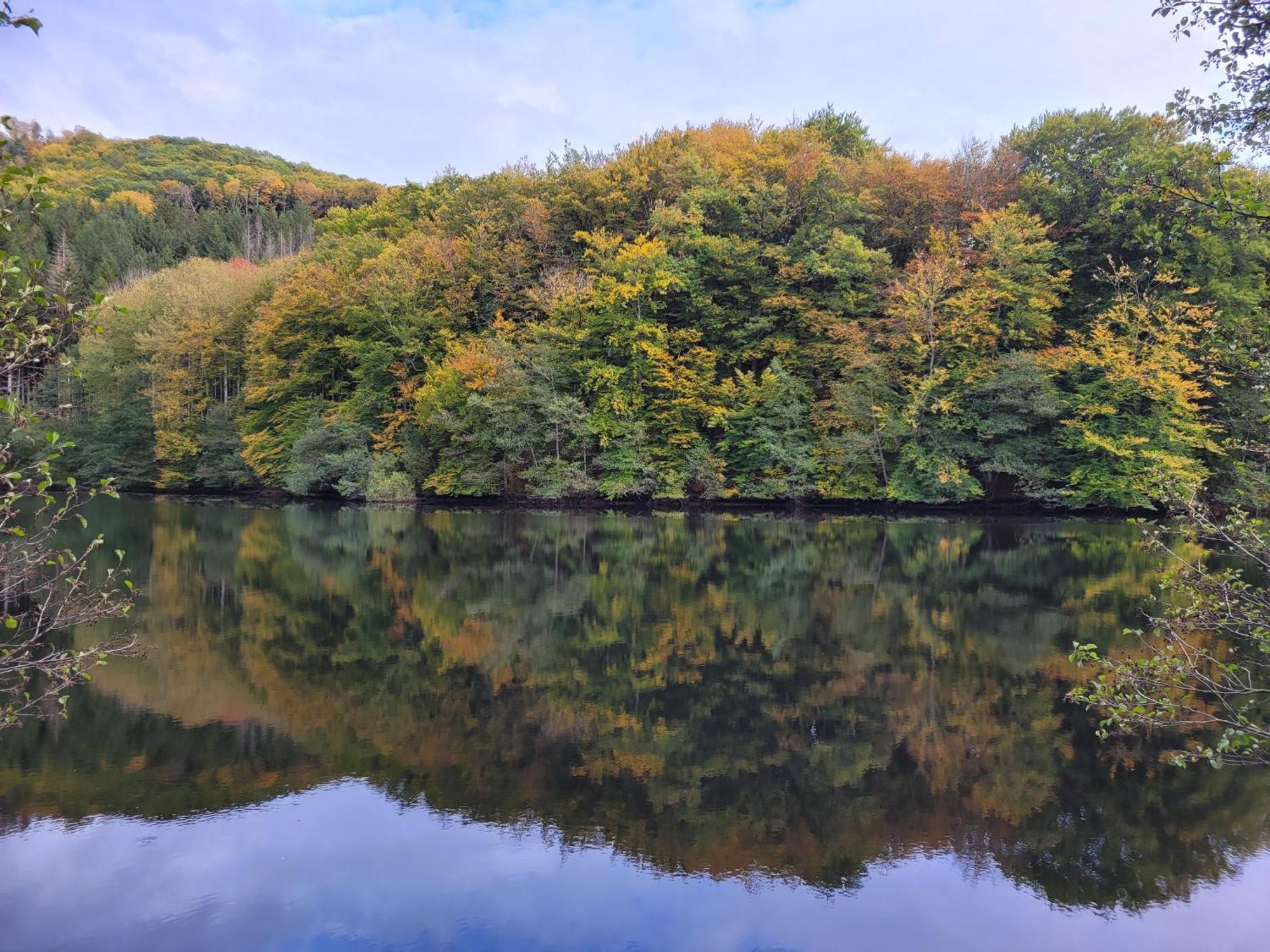 Le Des Moines Condat (Cantal)